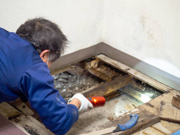 Mold Removal and Inspection in Lagrange, IN